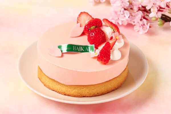 季節のデコレーション さくら小町 メイン画像