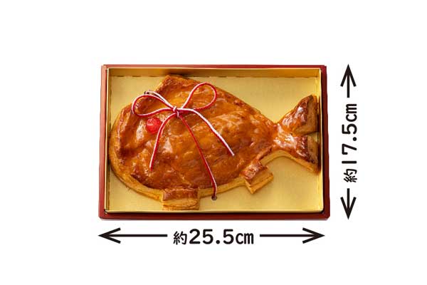 祝鯛 サイズ見本