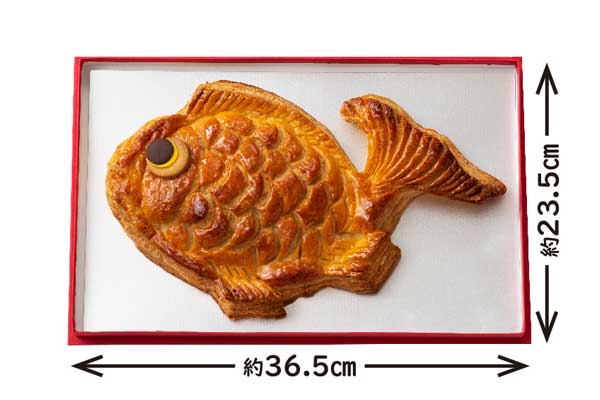 吉祥鯛 サイズ見本