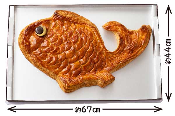 おめで鯛 サイズ見本